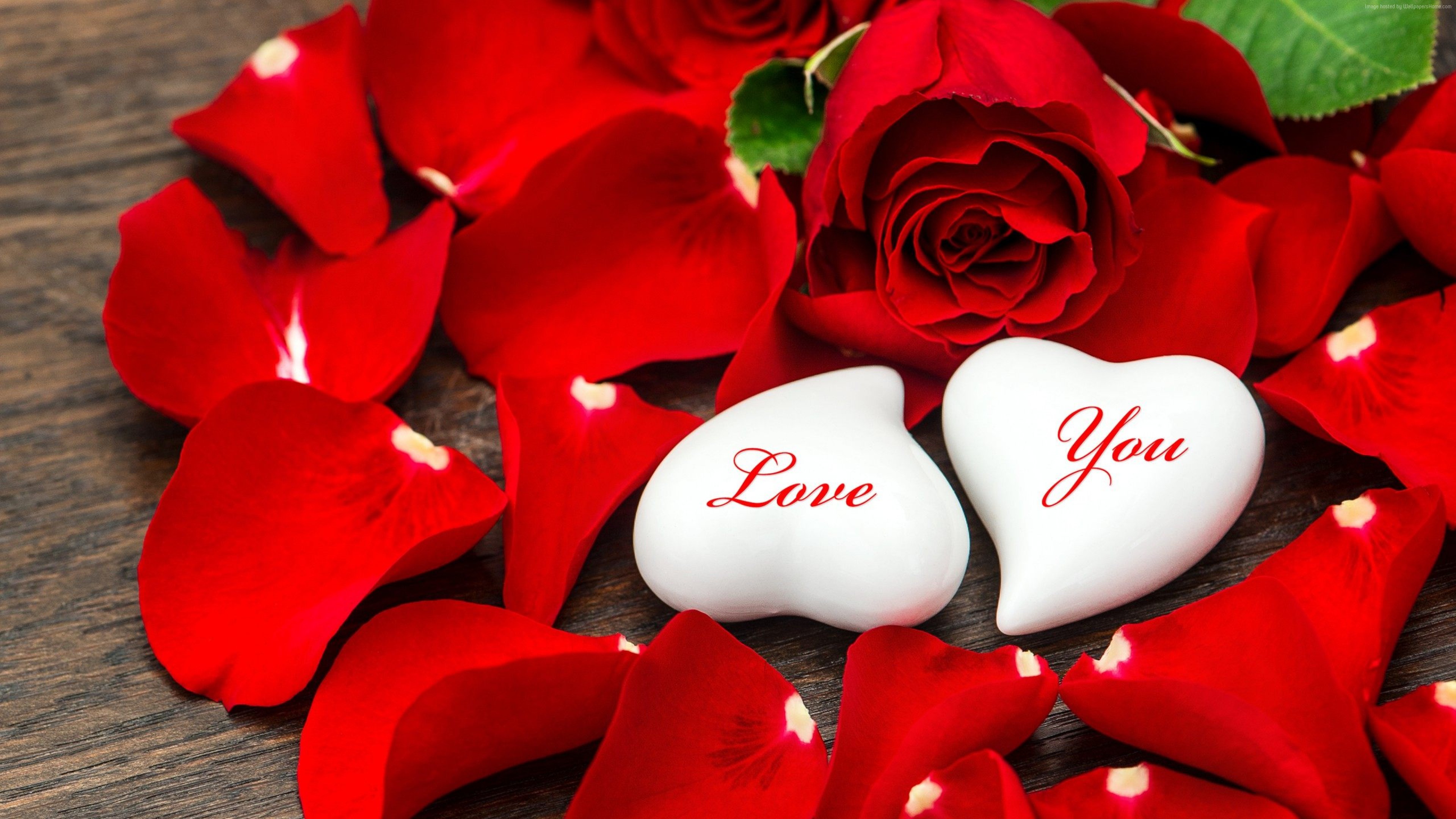 Stock Images love image, heart, HD, Stock Images